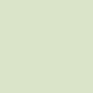 Pastel Light Green