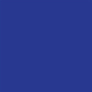 Vibrant Indigo