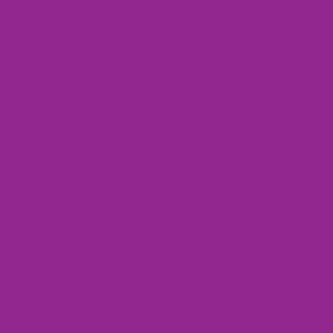 Vibrant Violet