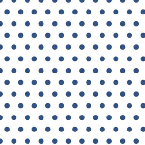 In the Navy Polka Dot