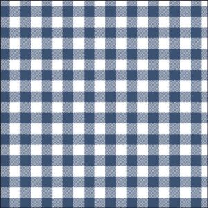 Navy Gingham