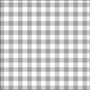 Platinum Gray Gingham