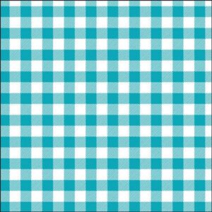 Turquiose Blue Gingham