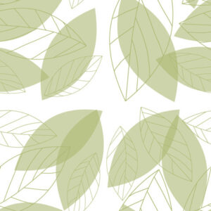 Simple Green Leaves