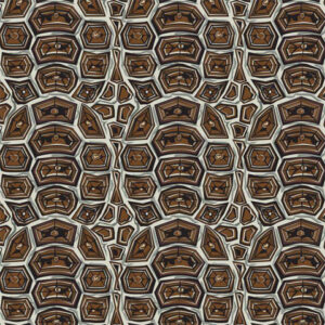 Tortoise Print