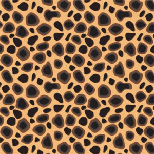 Cheetah Print