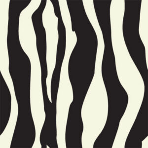 Zebra Print