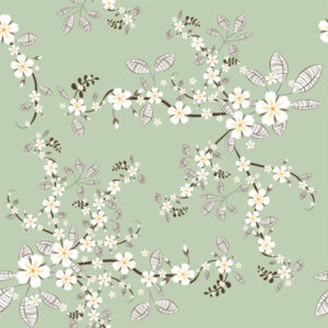 Cherry Blossoms