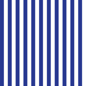 Vibrant Indigo Stripe