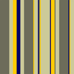 Boy Scout Stripe