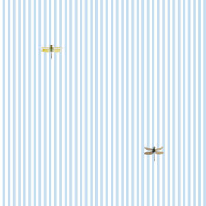 Dragonflies on Blue Stripe